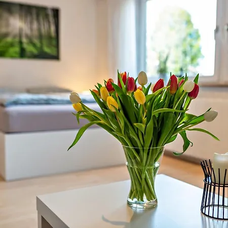Waechtersberg Apartment *